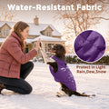 JoyDaog Fleece Dog Jacket for Small Dogs,Puppy Coat with Harness,Purple M