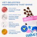 Native Pet Skin & Coat Chews - Omega 3 Fish Oil for Dogs Skin & Coat Supplement - Itch Relief, Shiny Fur & Shedding Support - Collagen, Hyaluronic Acid, Biotin, Probiotics & Salmon Oil - 30 Chews