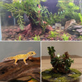 emours Natural Driftwood Small Aquarium Driftwood, 4-6", Natural Twisted Branches, Low-Tannin, Great for Shrimp/Betta & 