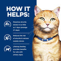 Hill's Prescription Diet c/d Multicare Urinary Care Dry Cat Food