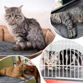 Clysee 4 Pack Self Heating Cat Pad Self Warming Dog Mat Reflects Body Heat Extra Warm Thermal Pet Pad Washable Dog Cat Bed Crate Bed Mat Blanket(Gray,16 x 20 Inch)
