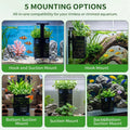 Upgraded Adjustable Aquarium Plant Holder,2 Pack Black