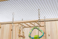 Trixie Small Animal Suspension Bridge, Hanging Cage Accessory with Hammock and Climbing Toys - Ladder and Ring, Ideal fo