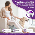 TopSum Calming Diffuser for Dog: Dog Pheromones Calming Diffuser Plug for Stress, Barking, Chewing, Pee Accidents & Sepa