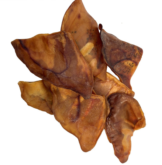HDP Large Roasted Pig Ears Size:Pack of 100