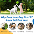 Dog Toys Ball, Interactive, M, 3.46 in (8.8 cm)