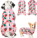 Nasjac Dog Surgery Recovery Suit - Zipper on Recovery Onesie for Female Dog