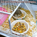 2 Pack Ceramic Guinea Pig Food Bowl Hamster Food Bowls for Gerbil Rat