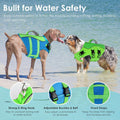Petglad Dog Life Jacket with Handle Adjustable Swim Vest, Blue & Green, L