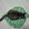 Romaneco Leaf Shaped Self-Warming Cat Bed Mat – 26"x20" Flannel & Cotton Pet Pad, Warm Pet Cat Mat for Indoor, Soft Kitten Cushion & Puppy Mattress (Green)