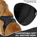 No Pull Reflective Adjustable Dog Harness with Handle- Comfortable Soft All Weather Mesh, Easy On Puppy Harness for Smal