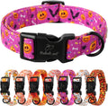 Halloween Dog Collar, Purple Pumpkin Bat Print Puppy Collar