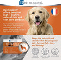 Dermoscent Essential 6 spot-on - Dog Skin Care for Dandruff & Allergy Relief with Vitamin E Oil - Anti Itch for Dogs - Natural Ingredients for Sensitive Skin - Dogs 20-40 kg - 4 Pipettes of 2.4 ml