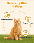 PAWUP Freeze Dried Pumpkin Treats for Dogs & Cats – Single Ingredient High Fiber Dog Food Topper for Digestion & Gut Health, Natural Pet Snacks for Sensitive Stomachs, 1.58 oz