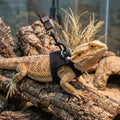3 Pack Bearded Dragon Harness Leash Set, Adjustable Soft Leather Lizard Harness with Traction Rope, Reptile Training Wal