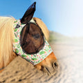 Armadillos/Pony