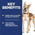 Hill's Science Diet Dry Dog Food, Adult