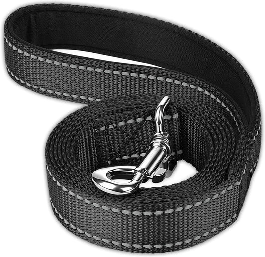 FunTags 6FT Black Reflective Dog Leash for Large & Medium Dogs Walking, Soft Padded Handle Comfortable Grip, Heavy Duty Nylon, Reflective for Night Walking, 1in Wide