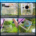Magnetic Fish Breeder Box for Isolation Boxes Acclimation Hatchery breeding Incubator for Guppy Baby Betta Shrimp Saltwa