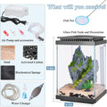 FEDOUR Small Glass Aquarium, 1 Gallon Desktop Fish Tank, Betta Fish Tank, Mini Aquarium Starter Kit with Air Pump LED Li