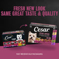 Cesar Wet Dog Food, Steak Lovers Variety Pack, 3.5 oz, 36 Count
