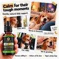 Billion Pets - Hemp Oil for Dogs and Cats - Helps with Anxiety, Pain, Stress, Sleep, Arthritis, Seizures Relief - Hip and Joint Support - Calming Drops
