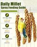 TINYFIELD Millet Spray for Birds, Parakeet Budgie Cockatiel Parrot Treats Snacks (0.5 Pound)