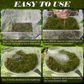 ZeeDix 8 OZ Premium Sphagnum Moss for Reptiles