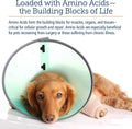 Rx Vitamins Amino B-Plex Cat & Dog Supplement - Vitamin B Complex Liquid Plus Amino Acids for Dogs & Cats - Appetite Booster and Cat & Dog Weight Gainer - Supplements & Vitamins - 8 oz
