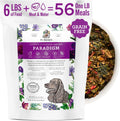Dr. Harvey's Paradigm Green Superfood Base Mix for Dogs (6 lb)