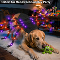 Halloween Light up Spider Dog Costumes for Small Medium Large Dogs