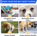 Taurine for Dogs - Taurine Drops for Dog Supports Heart Health, Muscle Function & Daily Vitality Immune System - Liquid 