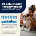 Vetnique Glandex Medicated Anal Gland Anti Itch Wipes for Dogs & Cats