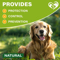 Natural Flea & Tick Collar for Dogs - 6 Months Control of Best Prevention & Safe Treatment - Anti Fleas and Ticks Essent