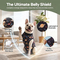PetWarm Neuter Recovery Suit, Dog Surgical Suit, Cosmic, Black Gold, L