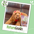 Nature Gnaws Beef Trachea Crunch Wraps for Dogs (3 Count) - Long Lasting Natural Beef Jerky Dog Chew Bones - Rawhide Free