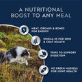 ZIWI Peak Air-Dried Dog Food – Beef - All Natural, High Protein, Grain Free, Limited Ingredient w/ Superfoods (16oz)