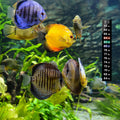 AQUANEAT 6 PCS Aquarium Thermometer Strips, Fish Tank Thermometer Sticker, Terrarium Water Temperature Test (5.13" x 0.7