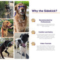 The Sidekick, Reg 3/8" Colors: