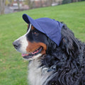 Littlearth NFL Chicago Bears Pet Baseball Hat, Team Color