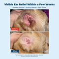 Animapet Ointment for Dogs | Yeast Infection Treatment for Dogs | Dog Ear & Skin Infection Care | Ear Mite, Itching, Irr