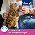Vitakraft Lick 'N' Lap Real Chicken Squeezeable Liquid Cat Treats