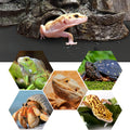 Vodolo Bearded Dragon Tank Accessories, Reptile Terrarium Carpet Substrate for Leopard Gecko, Lizard, Iguana, Snake, Tor
