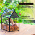 NCYP Glass Enclosure with Vent Holes for Jumping Spiders, Praying Mantis, Small Insect - 7.5" x 4.9" x 9" Front Opening 