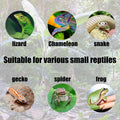 4Pcs Escape Proof Reptile Feeding Dish(2.72in), Leopard Gecko Food Dish, Reptile Bowls, Leopard Gecko Feeding Dish, Liza