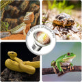 2-Pack 50W UVA Bulbs, Light Turtle Heat Lamp for Reptiles and Amphibian Tanks, Terrariums and Cages, Fit E26 Heat Reptil