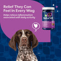 NaturVet Hemp Advanced Joint Health Dog Supplement Plus Hemp Seed - 60 Ct
