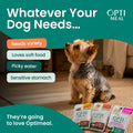 Wet Dog Food Variety Pack for Small Dogs, Grain Free Tender Morsels Pouches
