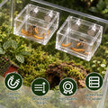Windspeed 2+1P 1.8 inch Mini Jumping Spider Feeding Dish Magnet Tarantula Water Bowl for Spider Feeder Water Dish for Ta