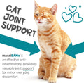 maxxipaws maxxiSAMe SAM-e for Cats, Liver & Cognitive Support Powder 3.2 oz
